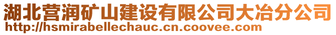 湖北營潤礦山建設(shè)有限公司大冶分公司