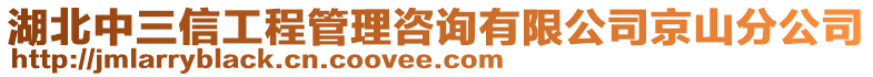 湖北中三信工程管理咨詢有限公司京山分公司