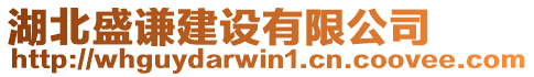 湖北盛謙建設(shè)有限公司