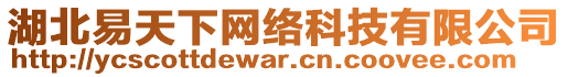 湖北易天下網(wǎng)絡(luò)科技有限公司