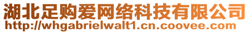 湖北足購(gòu)愛(ài)網(wǎng)絡(luò)科技有限公司