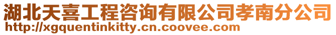 湖北天喜工程咨詢有限公司孝南分公司