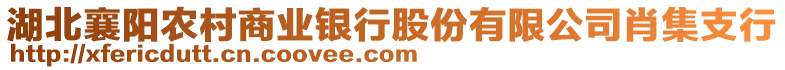 湖北襄陽農(nóng)村商業(yè)銀行股份有限公司肖集支行