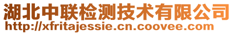 湖北中聯(lián)檢測(cè)技術(shù)有限公司