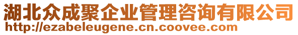 湖北眾成聚企業管理咨詢有限公司