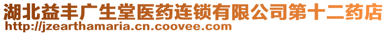 湖北益豐廣生堂醫(yī)藥連鎖有限公司第十二藥店