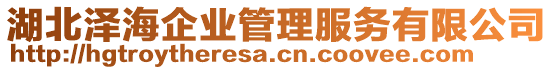 湖北澤海企業(yè)管理服務(wù)有限公司