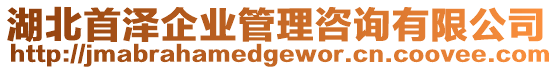 湖北首澤企業(yè)管理咨詢有限公司
