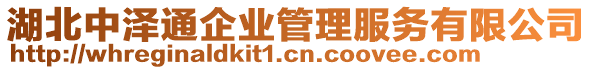 湖北中澤通企業(yè)管理服務(wù)有限公司