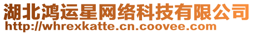 湖北鴻運(yùn)星網(wǎng)絡(luò)科技有限公司