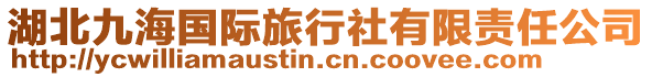 湖北九海國(guó)際旅行社有限責(zé)任公司