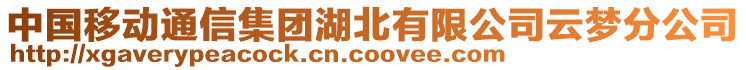 中國(guó)移動(dòng)通信集團(tuán)湖北有限公司云夢(mèng)分公司