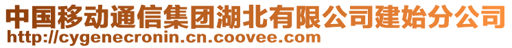 中國移動通信集團湖北有限公司建始分公司