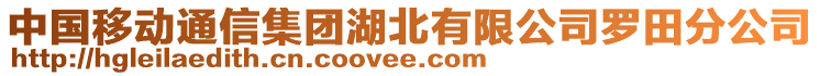 中國移動通信集團(tuán)湖北有限公司羅田分公司