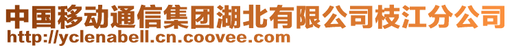 中國(guó)移動(dòng)通信集團(tuán)湖北有限公司枝江分公司