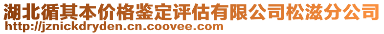 湖北循其本价格鉴定评估有限公司松滋分公司