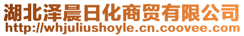 湖北澤晨日化商貿有限公司