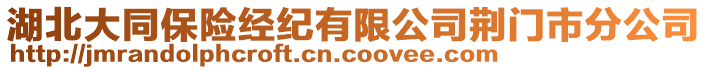 湖北大同保險(xiǎn)經(jīng)紀(jì)有限公司荊門市分公司