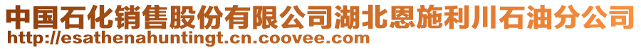 中國(guó)石化銷售股份有限公司湖北恩施利川石油分公司