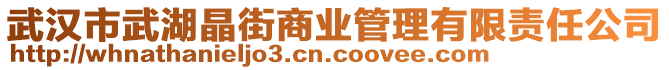 武漢市武湖晶街商業(yè)管理有限責(zé)任公司