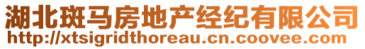 湖北斑馬房地產(chǎn)經(jīng)紀(jì)有限公司