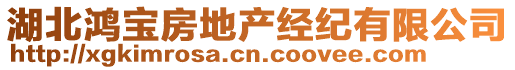 湖北鴻寶房地產(chǎn)經(jīng)紀(jì)有限公司