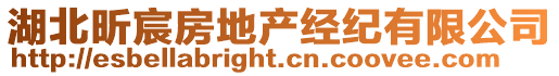 湖北昕宸房地產(chǎn)經(jīng)紀(jì)有限公司