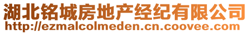 湖北銘城房地產(chǎn)經(jīng)紀(jì)有限公司