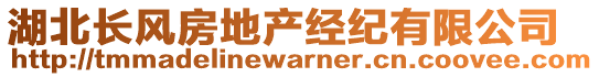 湖北長風(fēng)房地產(chǎn)經(jīng)紀(jì)有限公司