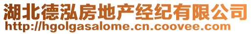 湖北德泓房地產(chǎn)經(jīng)紀(jì)有限公司