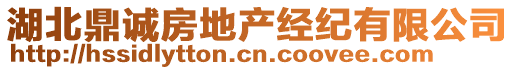 湖北鼎誠房地產(chǎn)經(jīng)紀有限公司