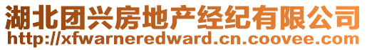 湖北團(tuán)興房地產(chǎn)經(jīng)紀(jì)有限公司