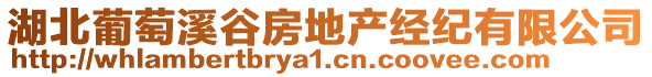 湖北葡萄溪谷房地產(chǎn)經(jīng)紀有限公司