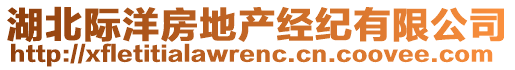 湖北際洋房地產(chǎn)經(jīng)紀有限公司