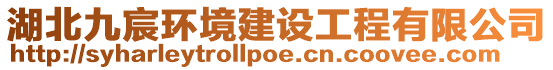 湖北九宸環(huán)境建設(shè)工程有限公司