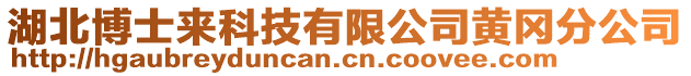 湖北博士來科技有限公司黃岡分公司