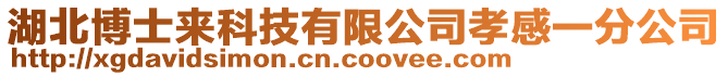 湖北博士來科技有限公司孝感一分公司