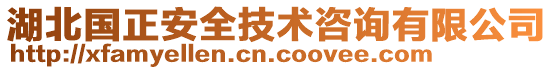 湖北國(guó)正安全技術(shù)咨詢有限公司