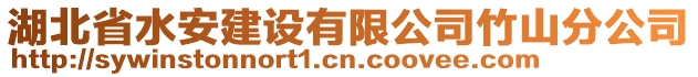 湖北省水安建設有限公司竹山分公司