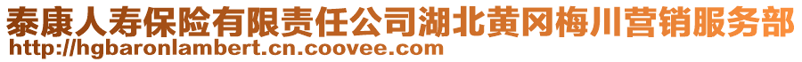 泰康人壽保險有限責(zé)任公司湖北黃岡梅川營銷服務(wù)部