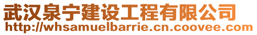 武漢泉寧建設工程有限公司