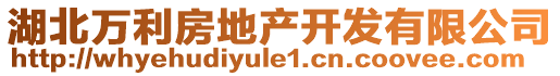 湖北萬(wàn)利房地產(chǎn)開(kāi)發(fā)有限公司