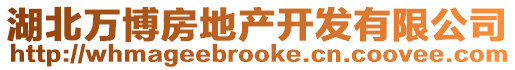 湖北萬博房地產開發有限公司