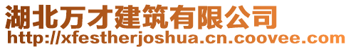 湖北萬才建筑有限公司