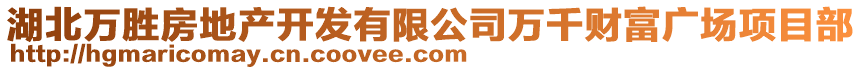 湖北萬勝房地產開發(fā)有限公司萬千財富廣場項目部