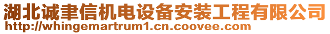 湖北誠聿信機(jī)電設(shè)備安裝工程有限公司