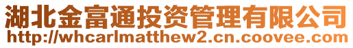 湖北金富通投資管理有限公司