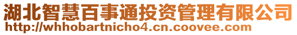 湖北智慧百事通投資管理有限公司