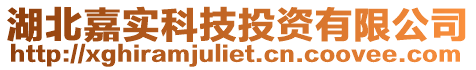 湖北嘉實科技投資有限公司