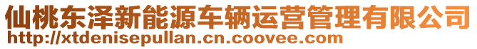 仙桃東澤新能源車輛運(yùn)營管理有限公司